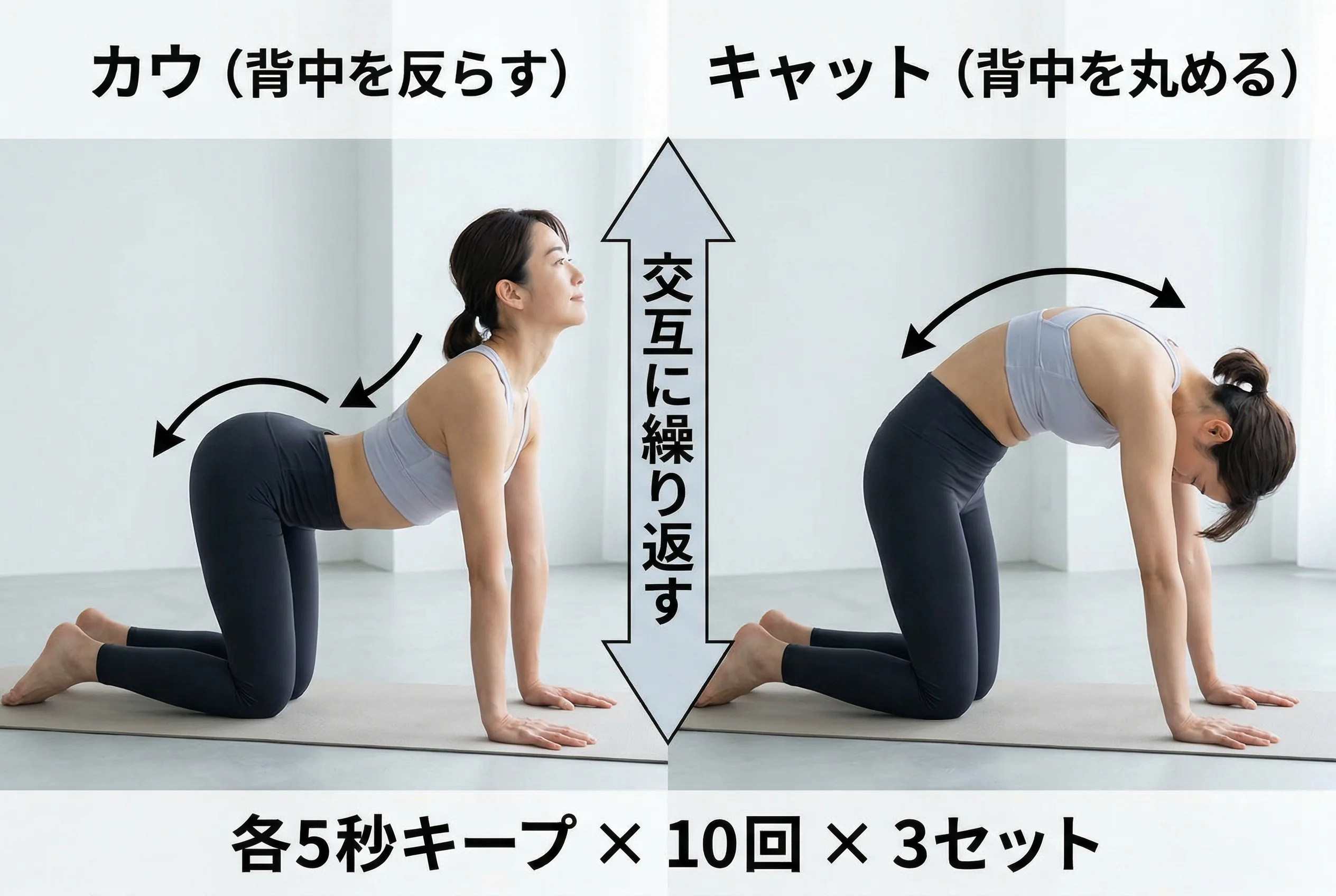 キャットアンドカウのイメージ