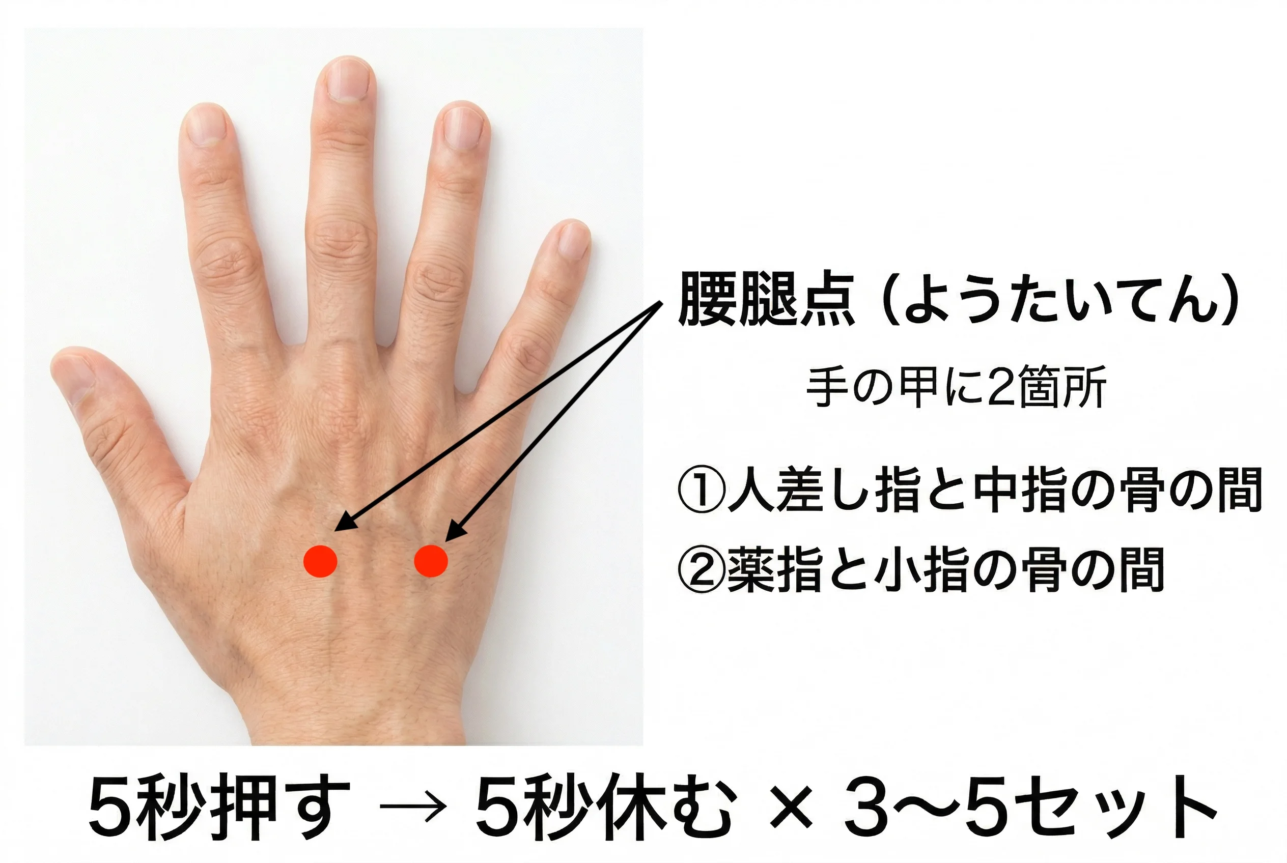 腰腿点のイメージ