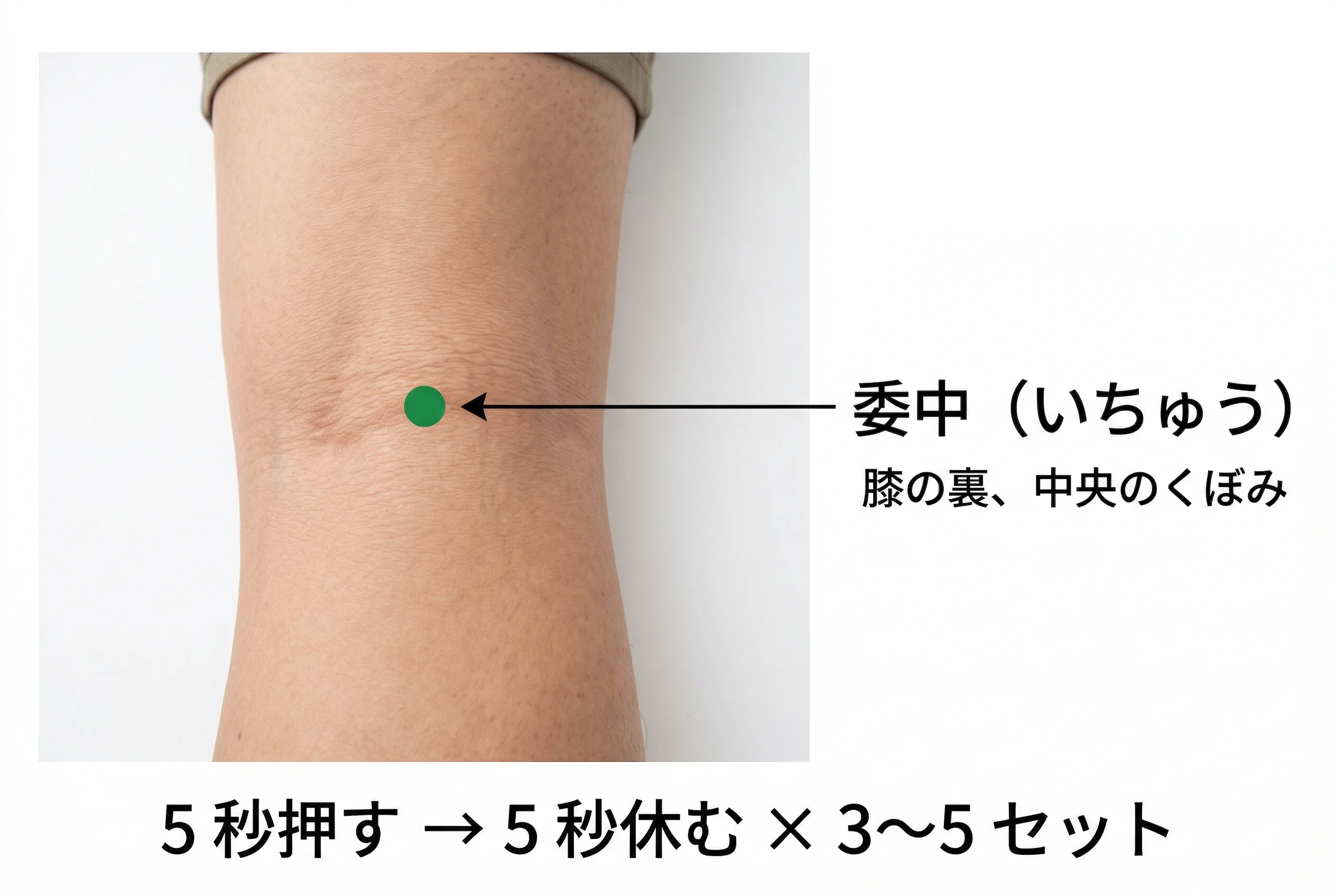 委中のイメージ