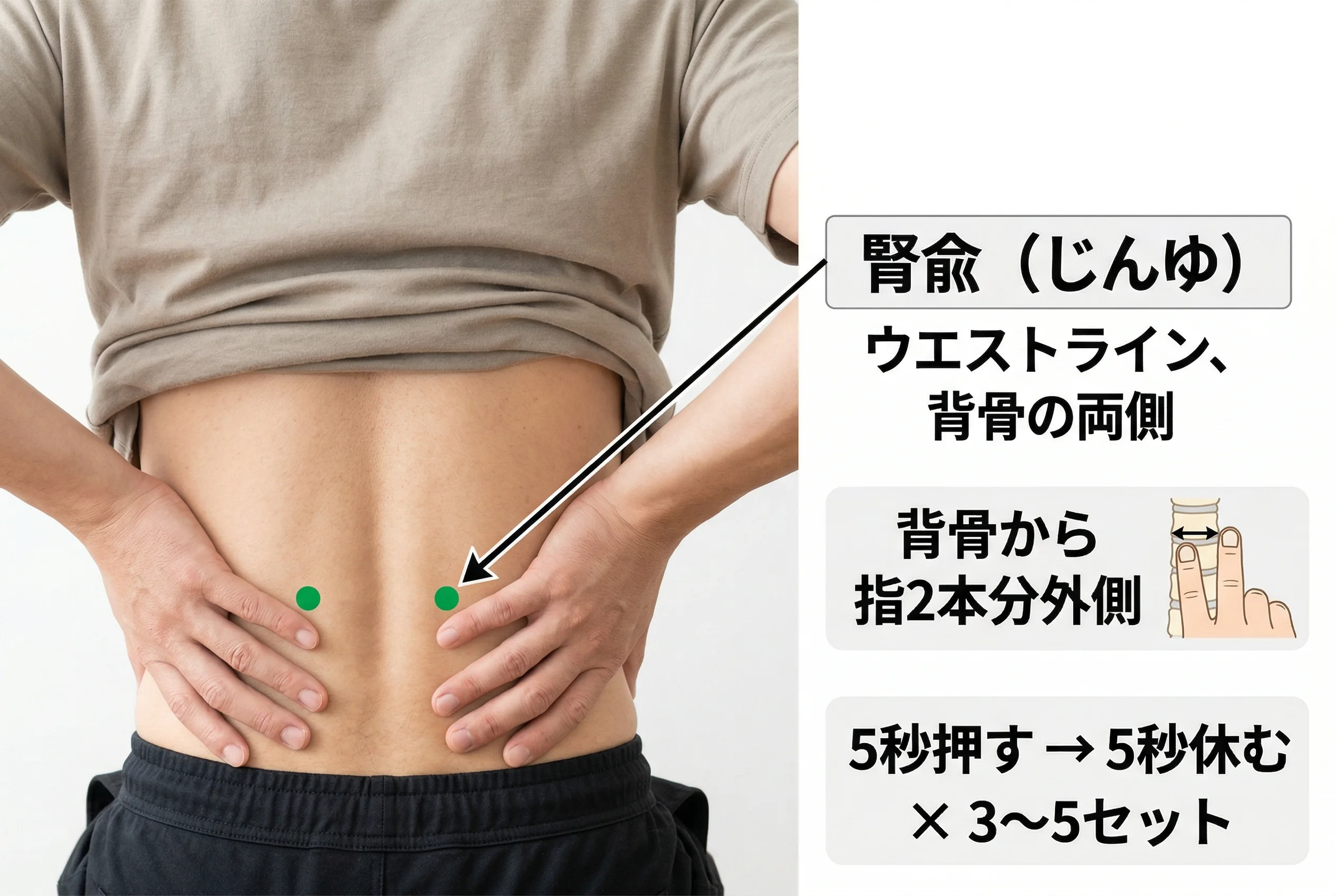 腎兪のイメージ