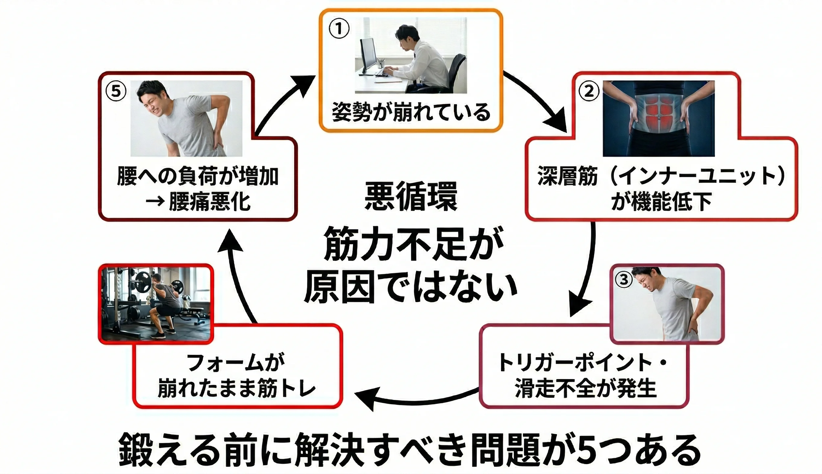 鍛えているのに治らない悪循環のメカニズム図解