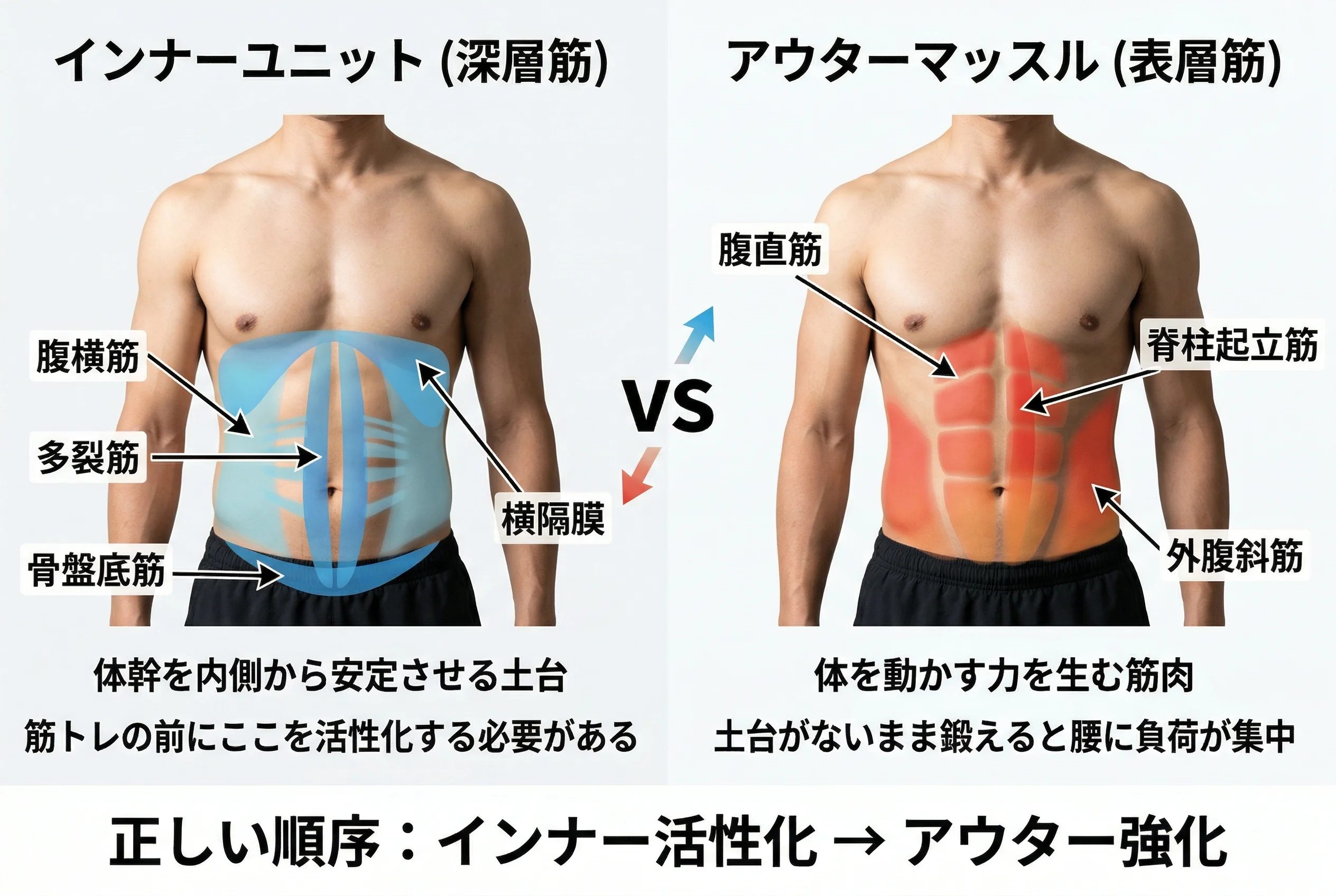 インナーユニットとアウターマッスルの解剖図
