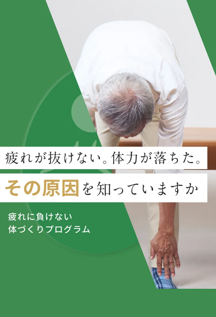 疲れが抜けない・体力低下に、姿勢科学からのアプローチを。｜こころ整体院