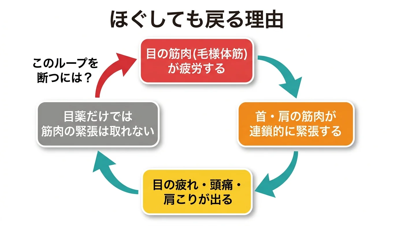 図2：「ほぐしても戻る」悪循環のメカニズム