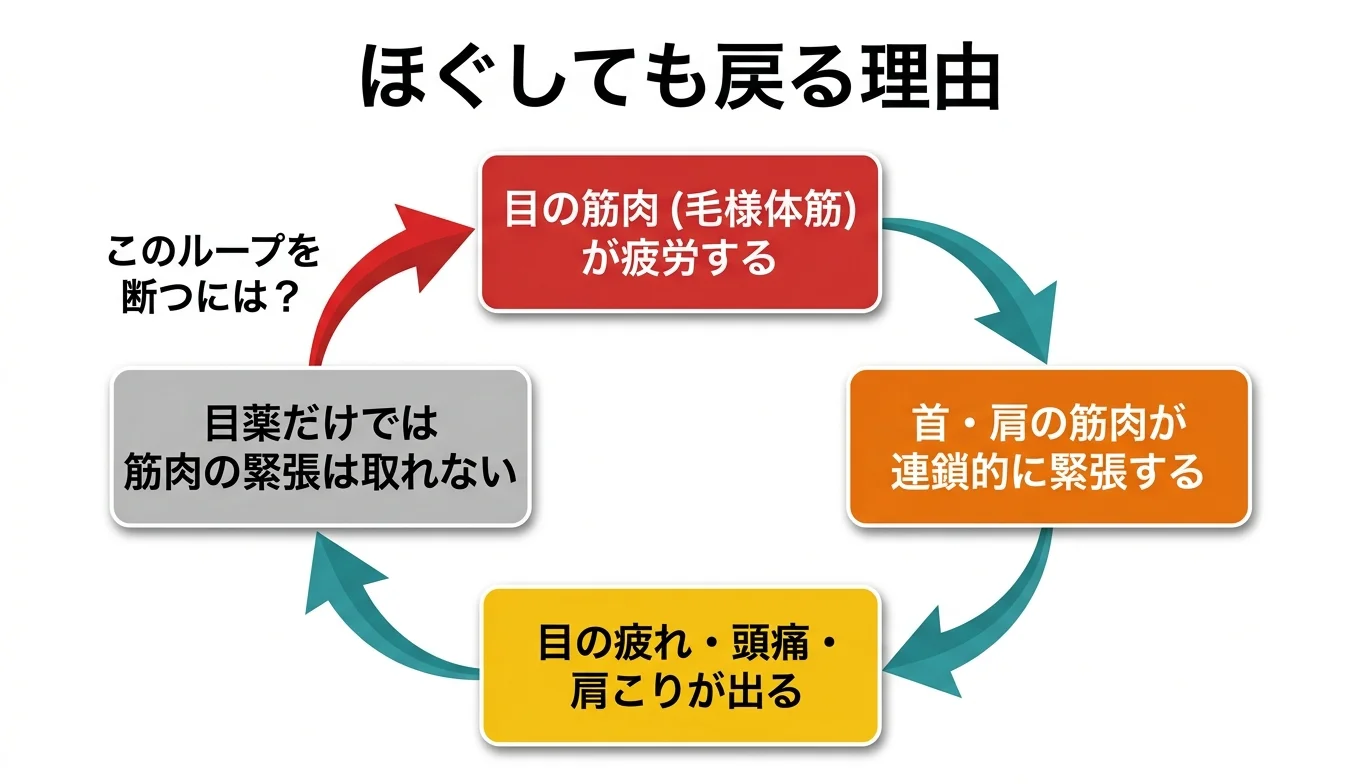 図2：「ほぐしても戻る」悪循環のメカニズム