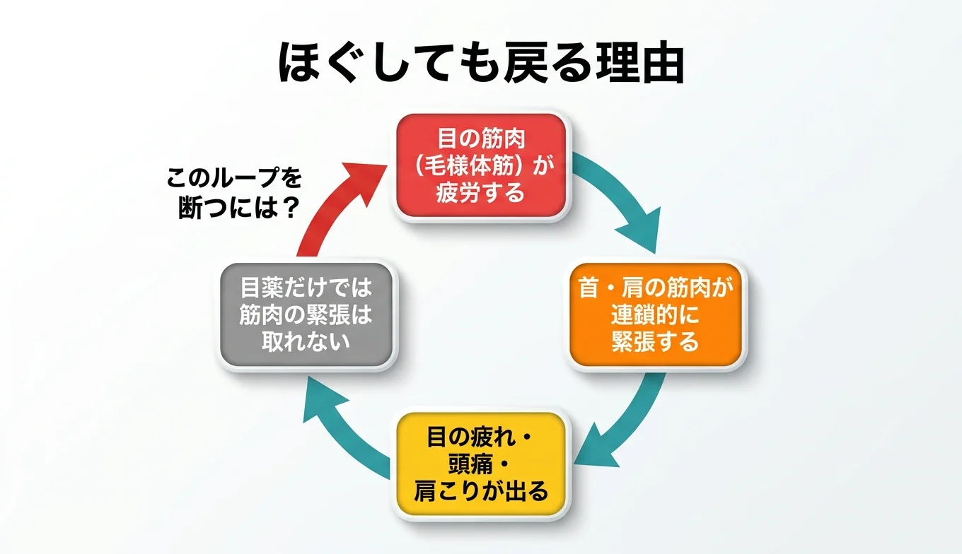 図2：「ほぐしても戻る」悪循環のメカニズム