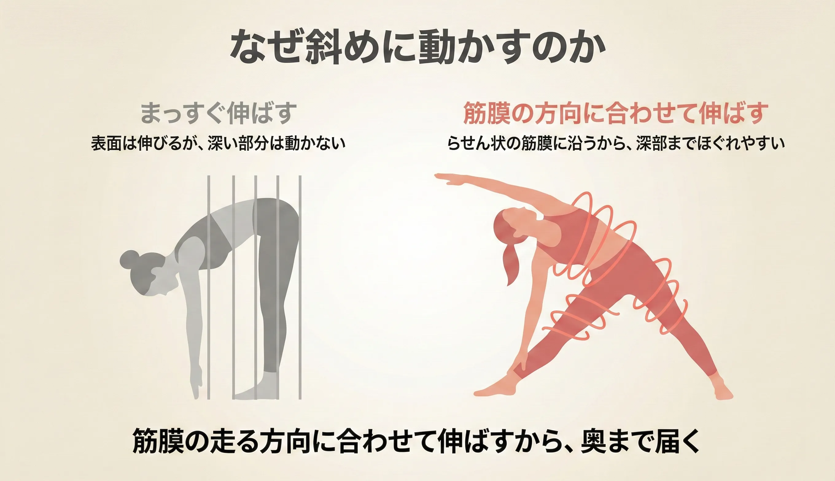 斜め方向のストレッチが筋膜ラインの走行（スパイラルラインなど）に沿い、層間のせん断力を生むことで滑走を誘導する仕組みの図解