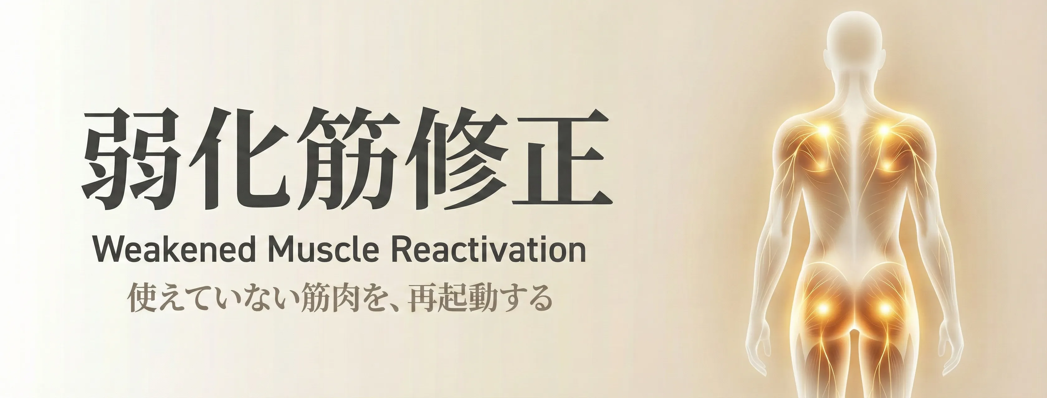 弱化筋修正 - giversメソッドGIFTの中核アプローチ。「使えていない筋肉」を再起動し、強い圧に頼らない身体の再教育を行う