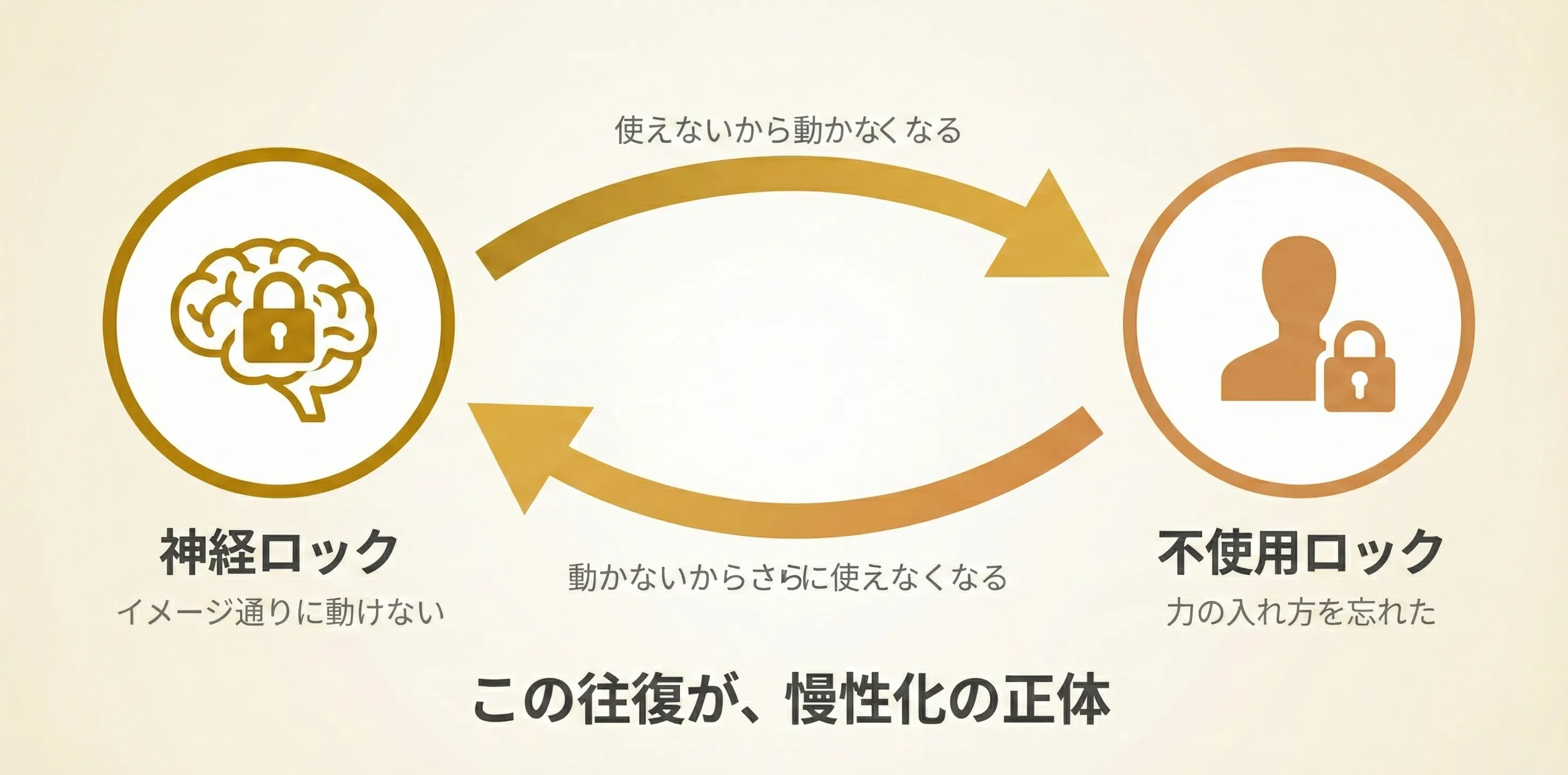 Neural LockとDisuse Lockの相互関係図