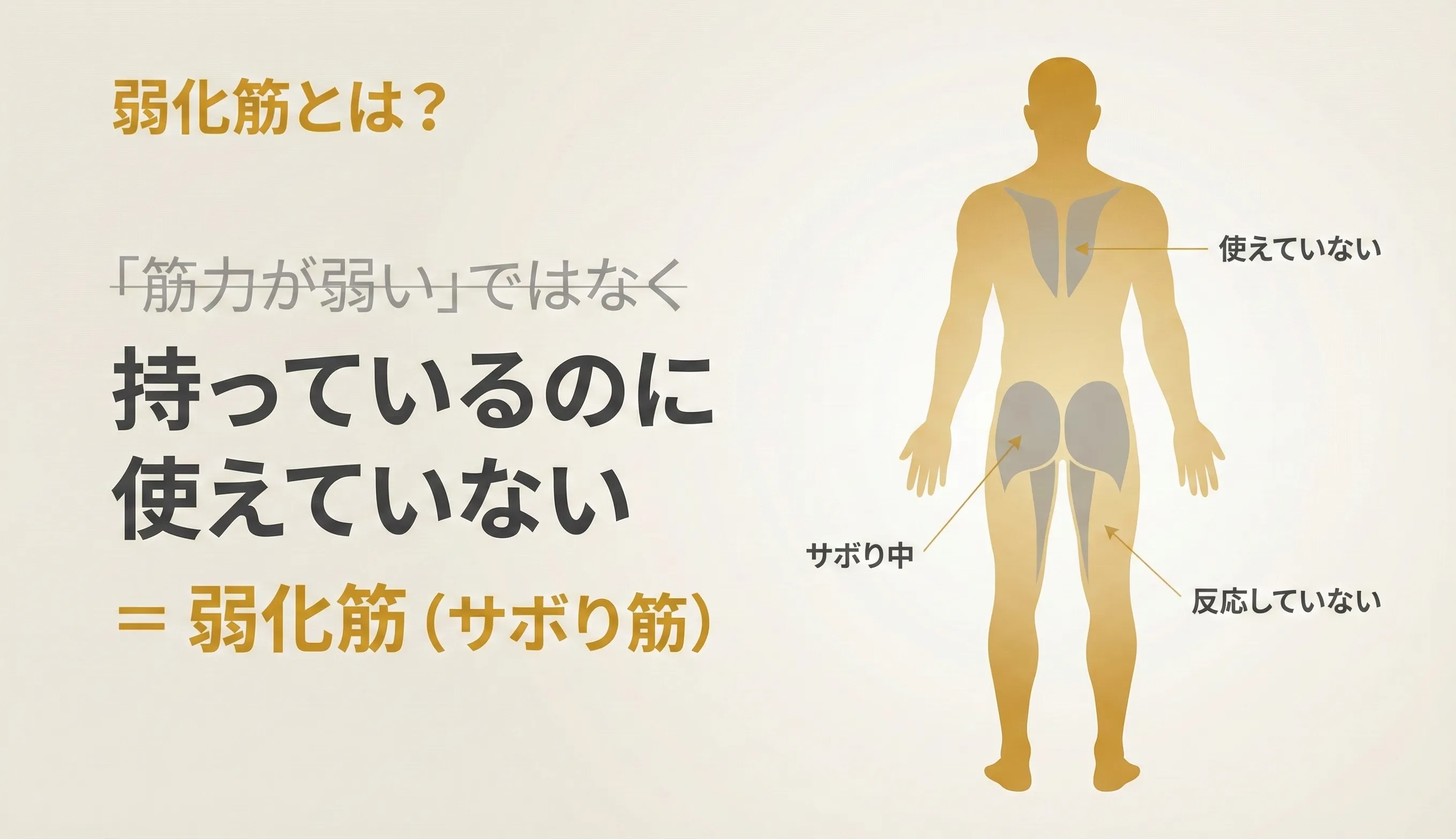 「筋力が弱い」ではなく「使えていない」のイメージ
