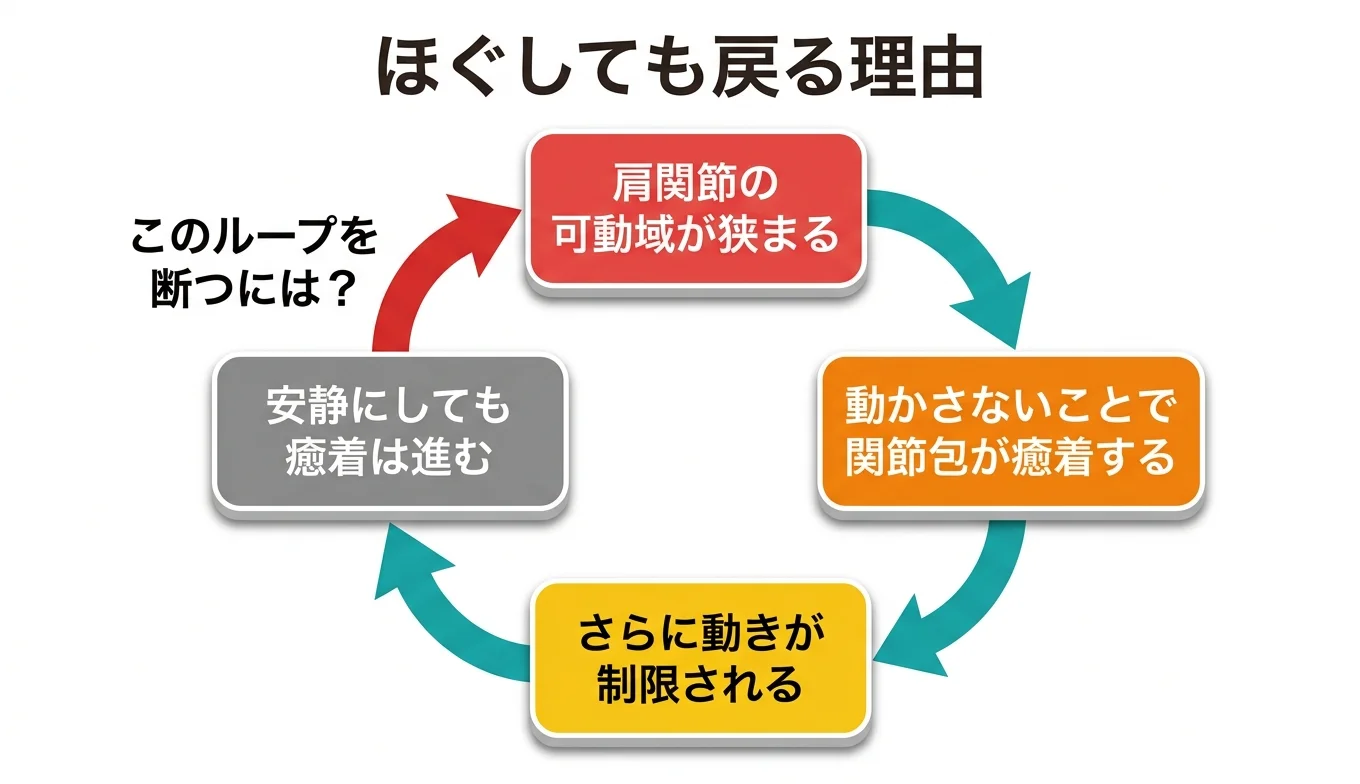 図2：「ほぐしても戻る」悪循環のメカニズム