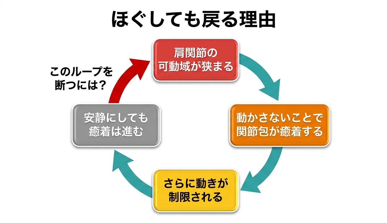 図2：「ほぐしても戻る」悪循環のメカニズム