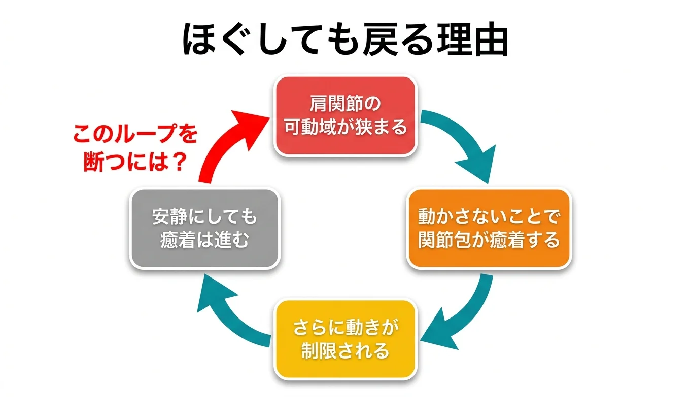 図2：「ほぐしても戻る」悪循環のメカニズム