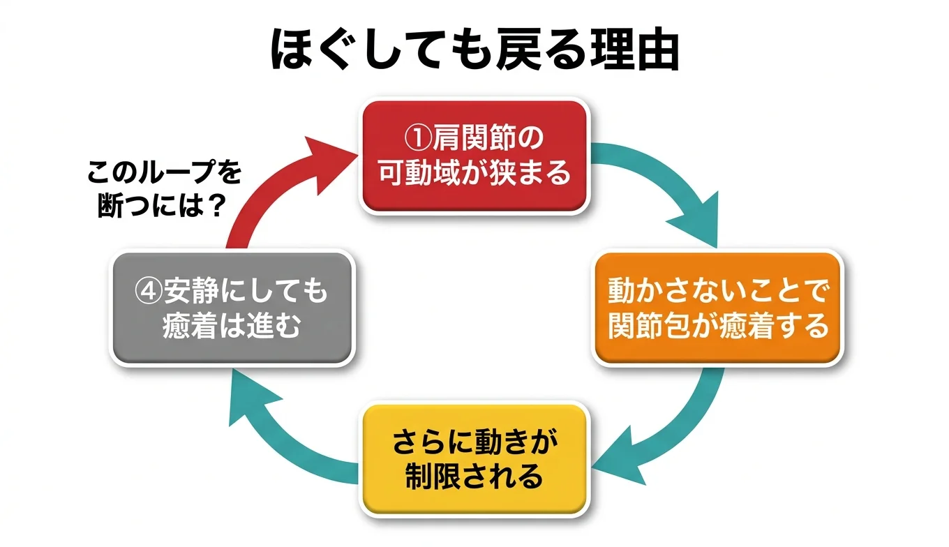 図2：「ほぐしても戻る」悪循環のメカニズム