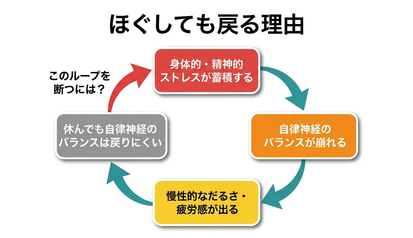 図2：「ほぐしても戻る」悪循環のメカニズム