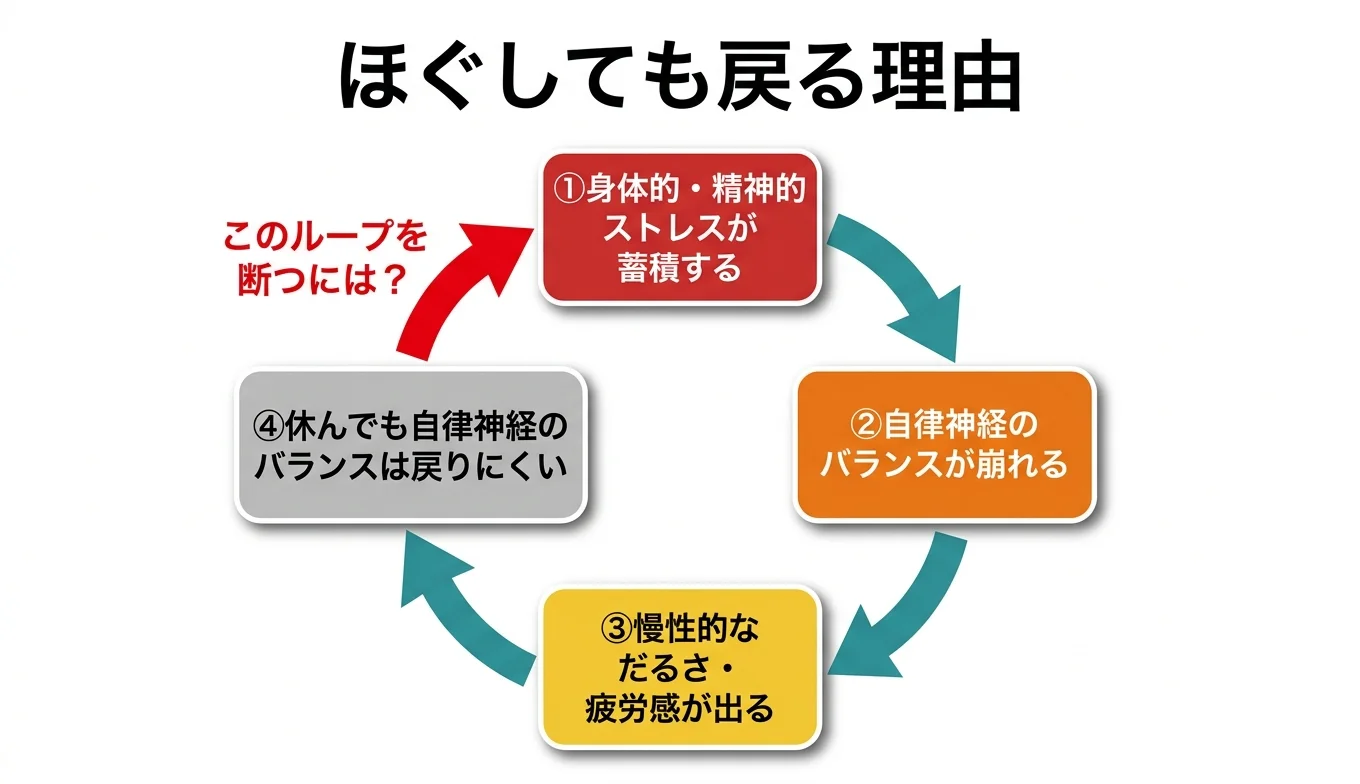 図2：「ほぐしても戻る」悪循環のメカニズム