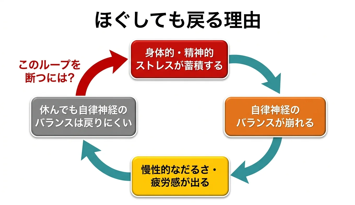 図2：「ほぐしても戻る」悪循環のメカニズム