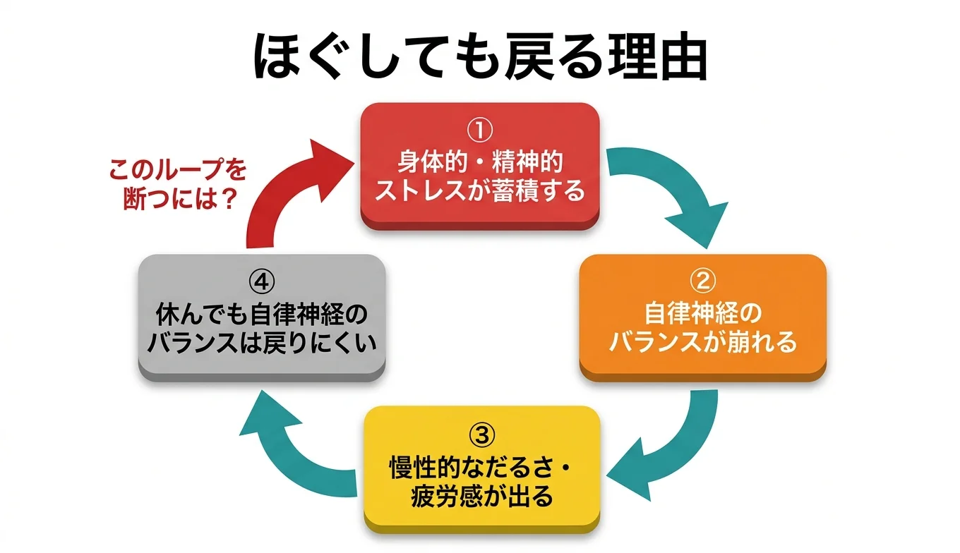 図2：「ほぐしても戻る」悪循環のメカニズム