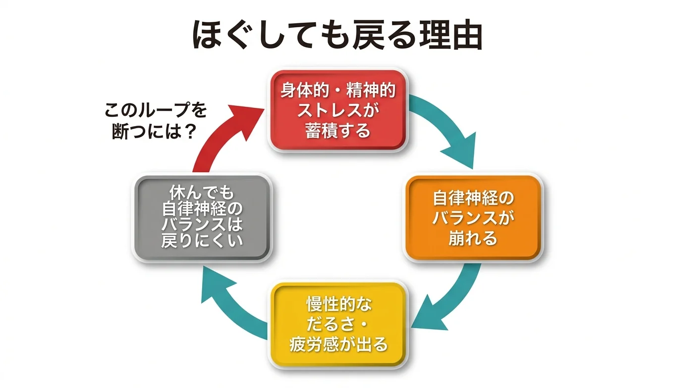 図2：「ほぐしても戻る」悪循環のメカニズム