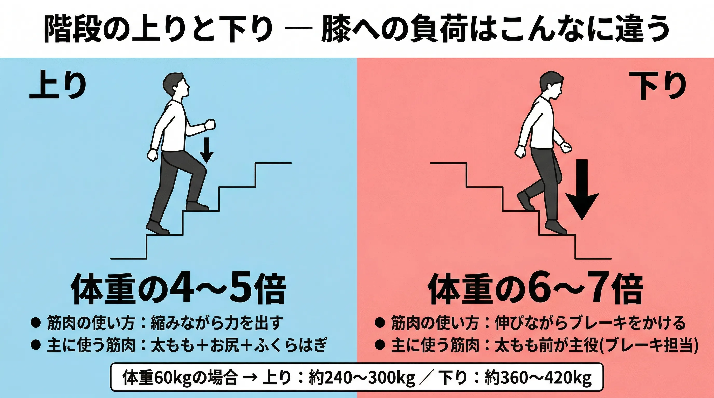階段の上りと下りの負荷比較