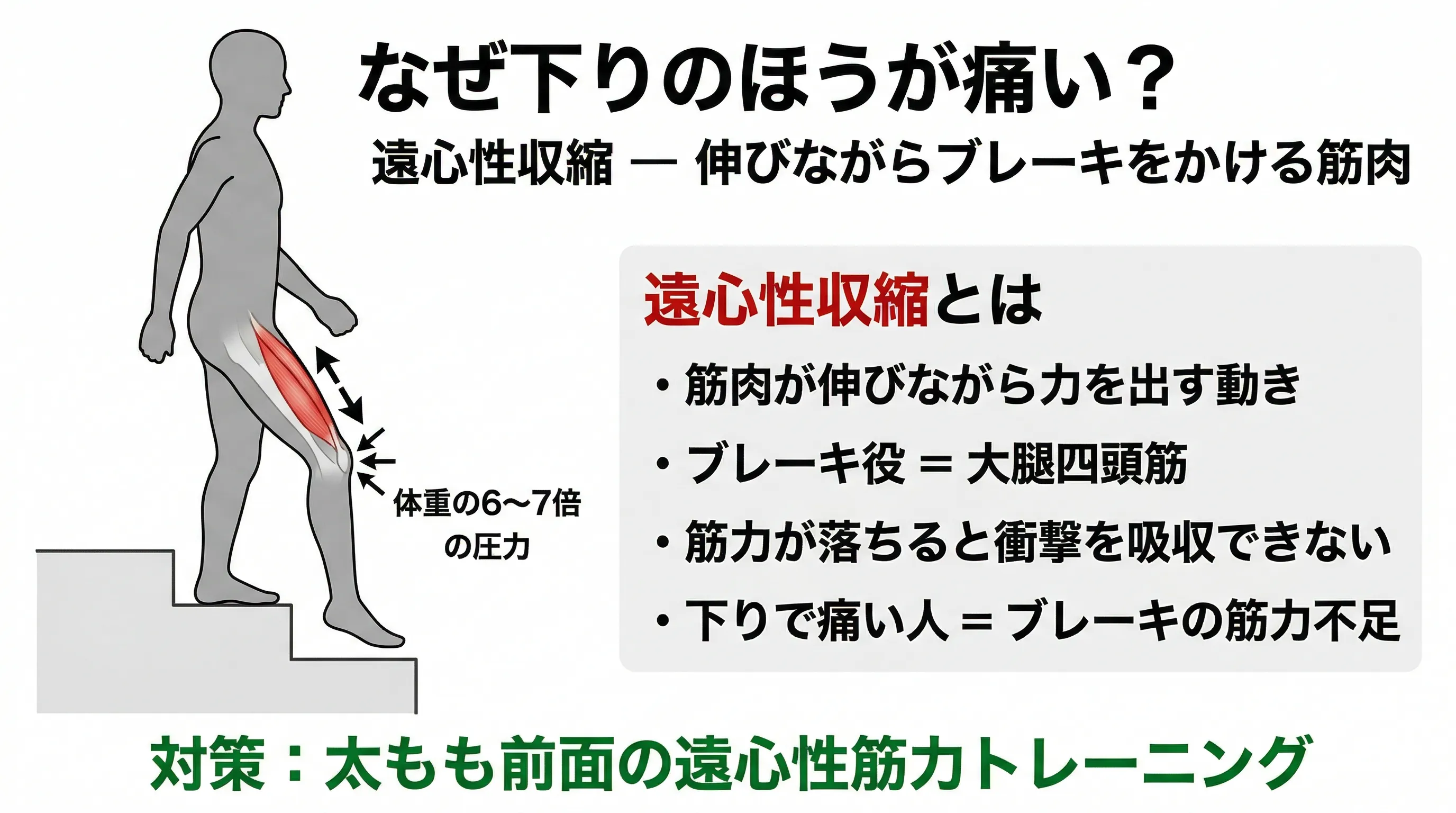 下りで膝にかかる負荷のメカニズム