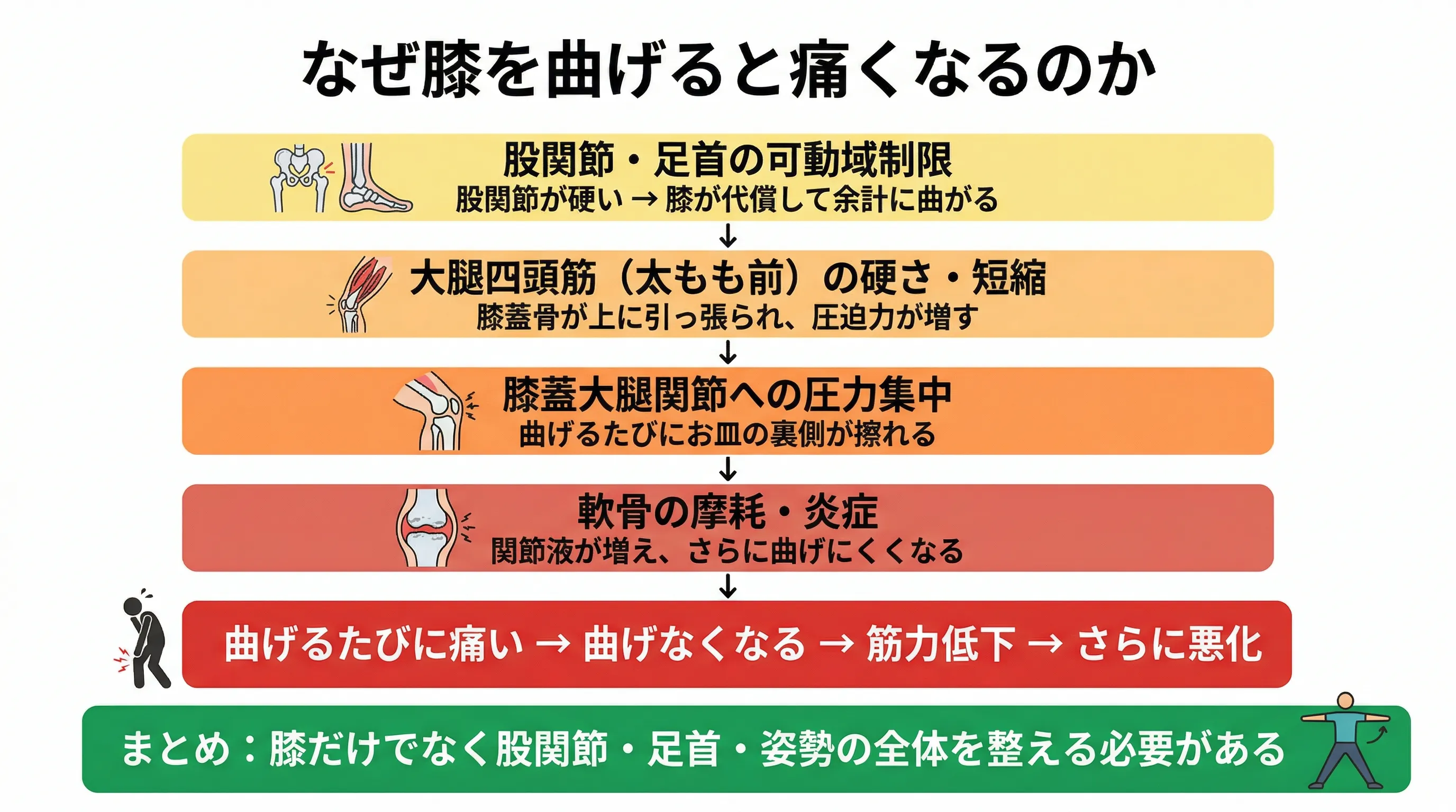 姿勢の崩れから膝の曲げ痛みのメカニズム