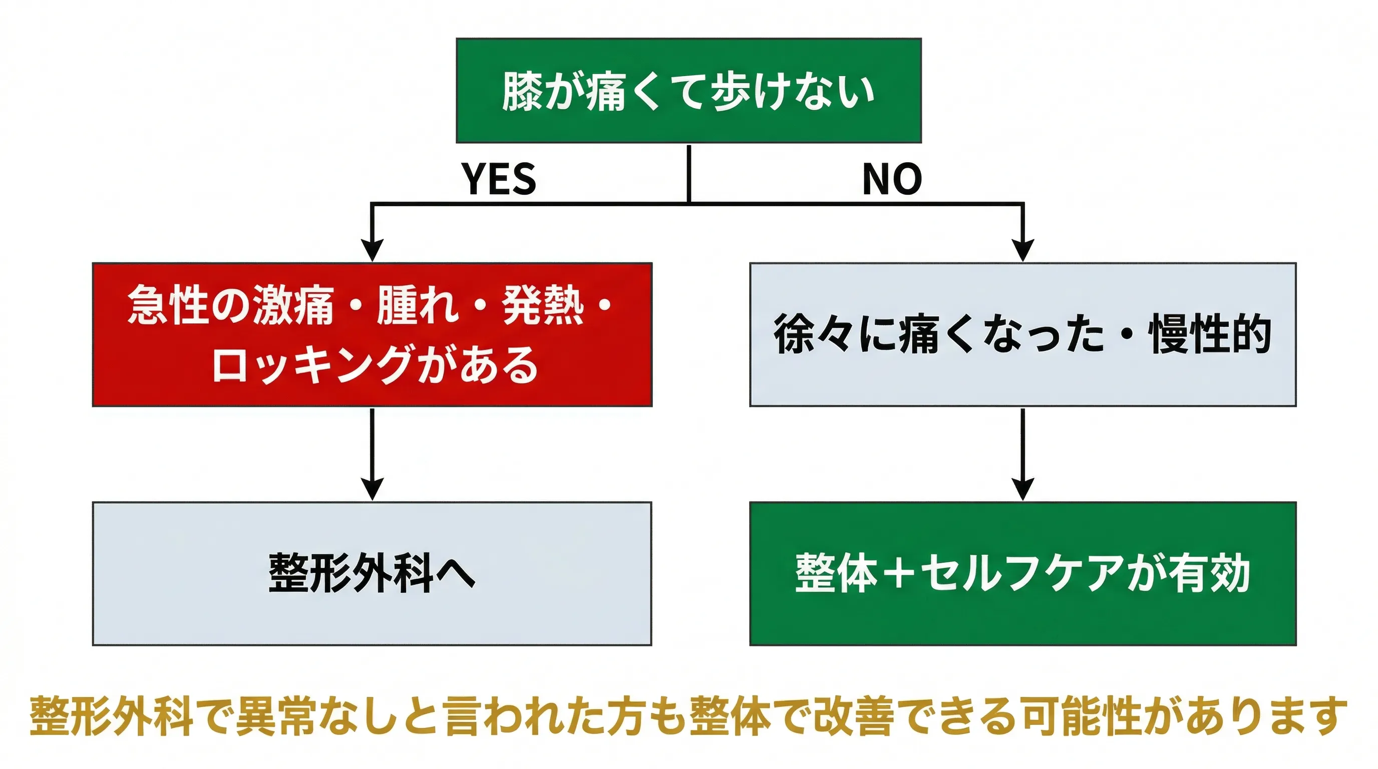 整形外科と整体の判断フローチャート