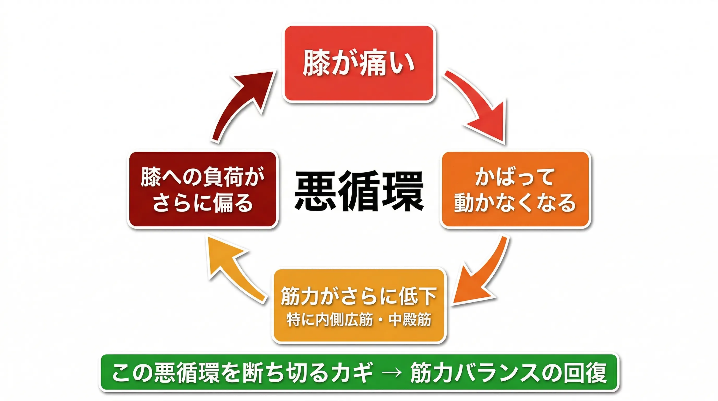 筋力バランスの崩れから膝痛の悪循環ループ