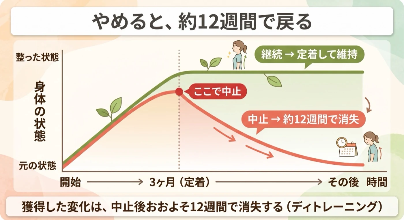 やめると約12週間で戻る。継続は定着して維持されるが、中止すると約12週間で効果が消失する（ディトレーニング）