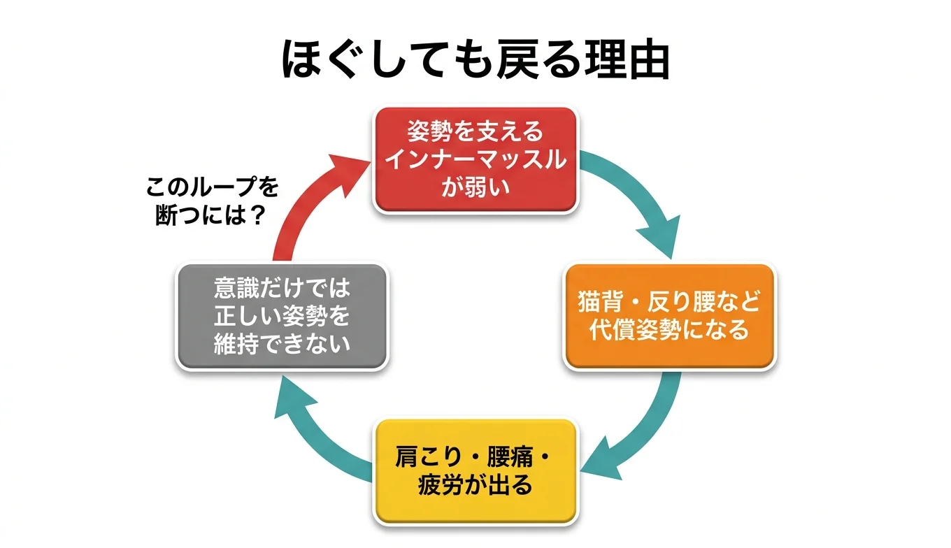 図2：「ほぐしても戻る」悪循環のメカニズム