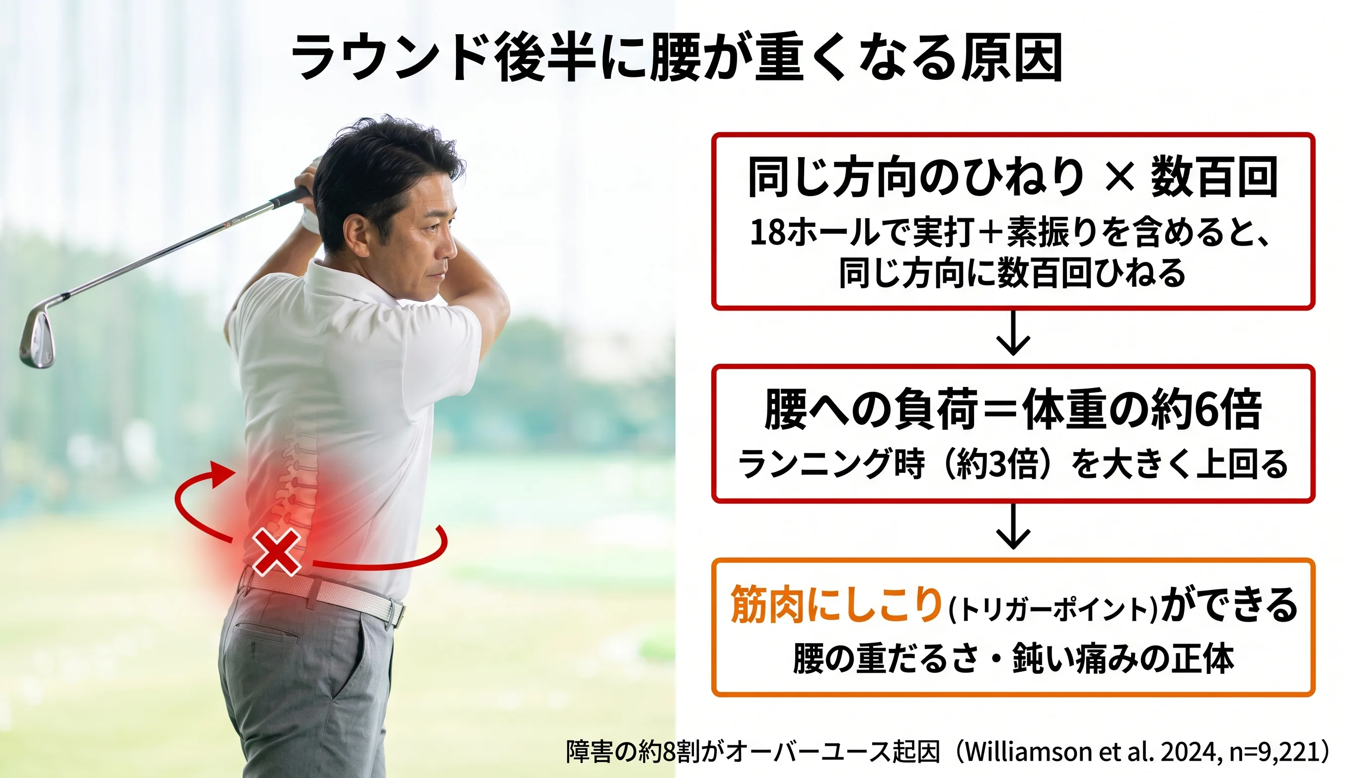 ラウンド後半に腰が重くなる原因：同じ方向のひねり×数百回→体重の約6倍の負荷→トリガーポイント形成