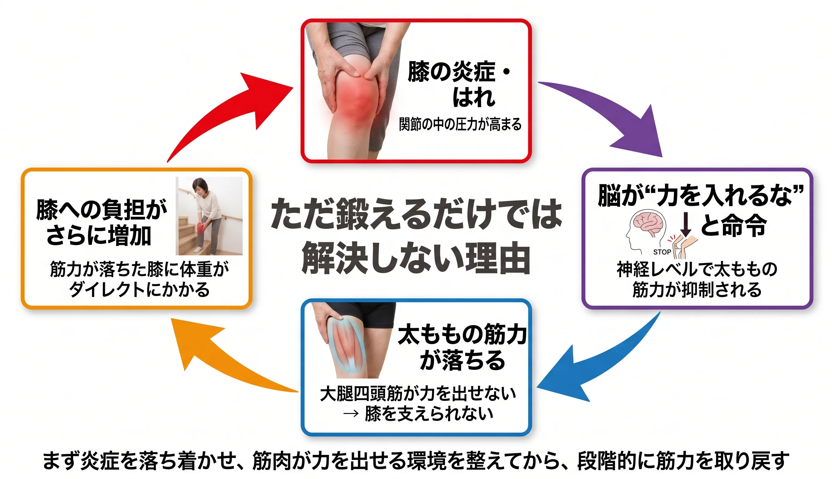 関節原性筋抑制(AMI)の悪循環図：膝の炎症→脳が筋力抑制→太ももの筋力低下→膝への負担増加