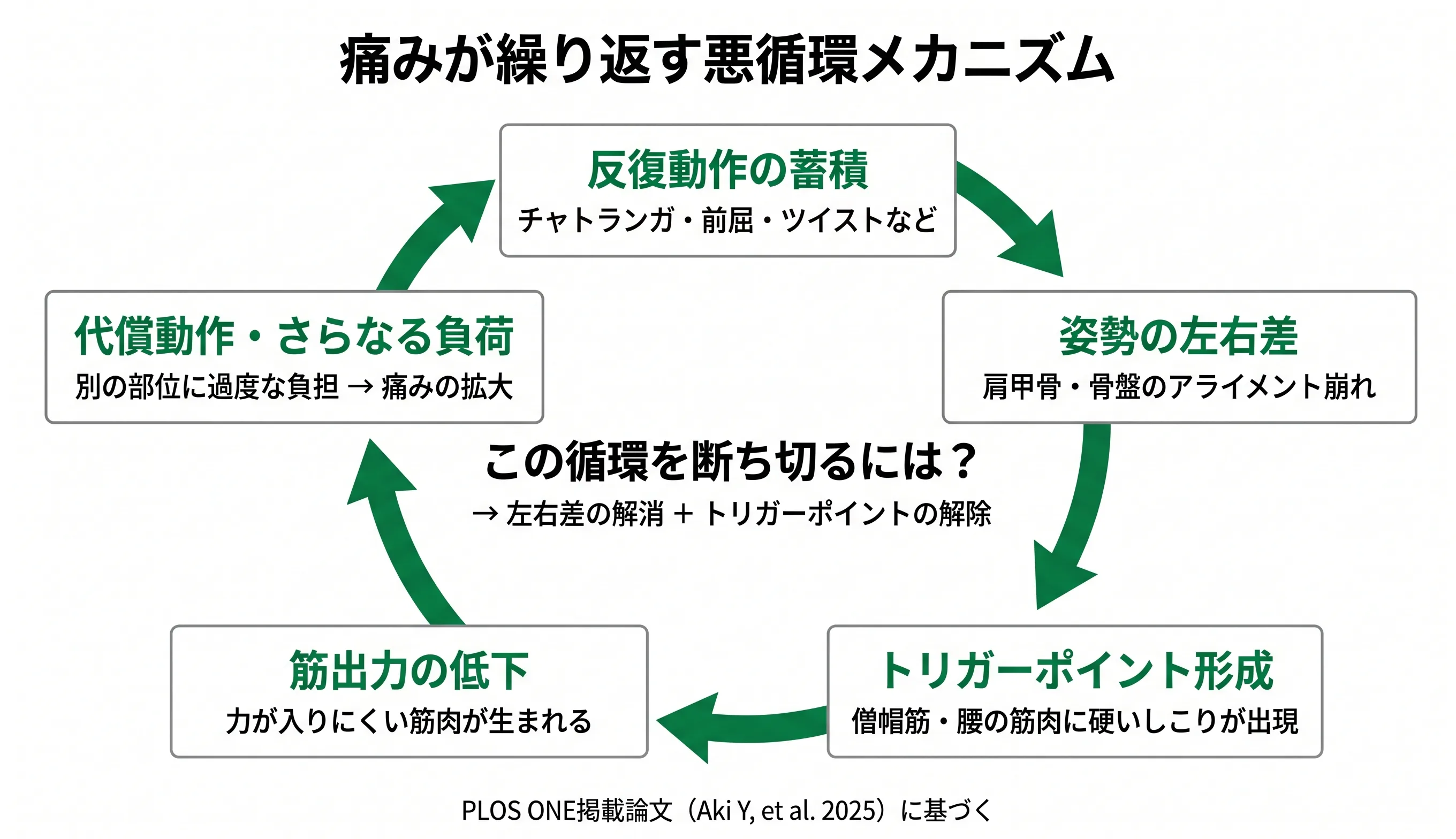 痛みが繰り返す悪循環メカニズム：反復動作の蓄積→姿勢の左右差→トリガーポイント形成→筋出力の低下→代償動作・さらなる負荷の循環図