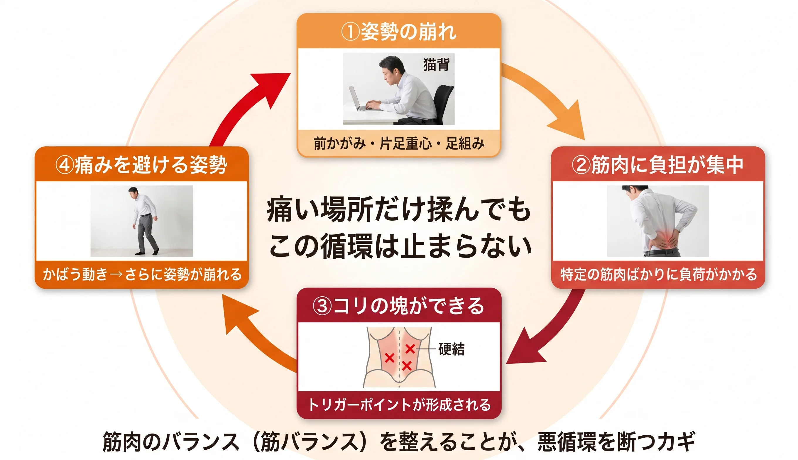 腰痛の悪循環サイクル図：姿勢の崩れ→筋肉に負担集中→コリの塊→痛みを避ける姿勢の循環