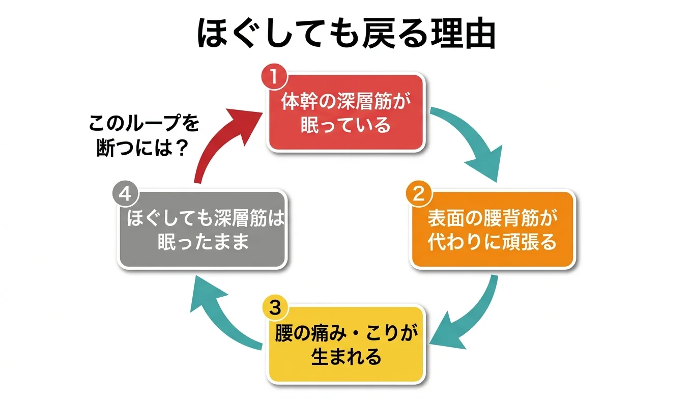 図2：「ほぐしても戻る」悪循環のメカニズム