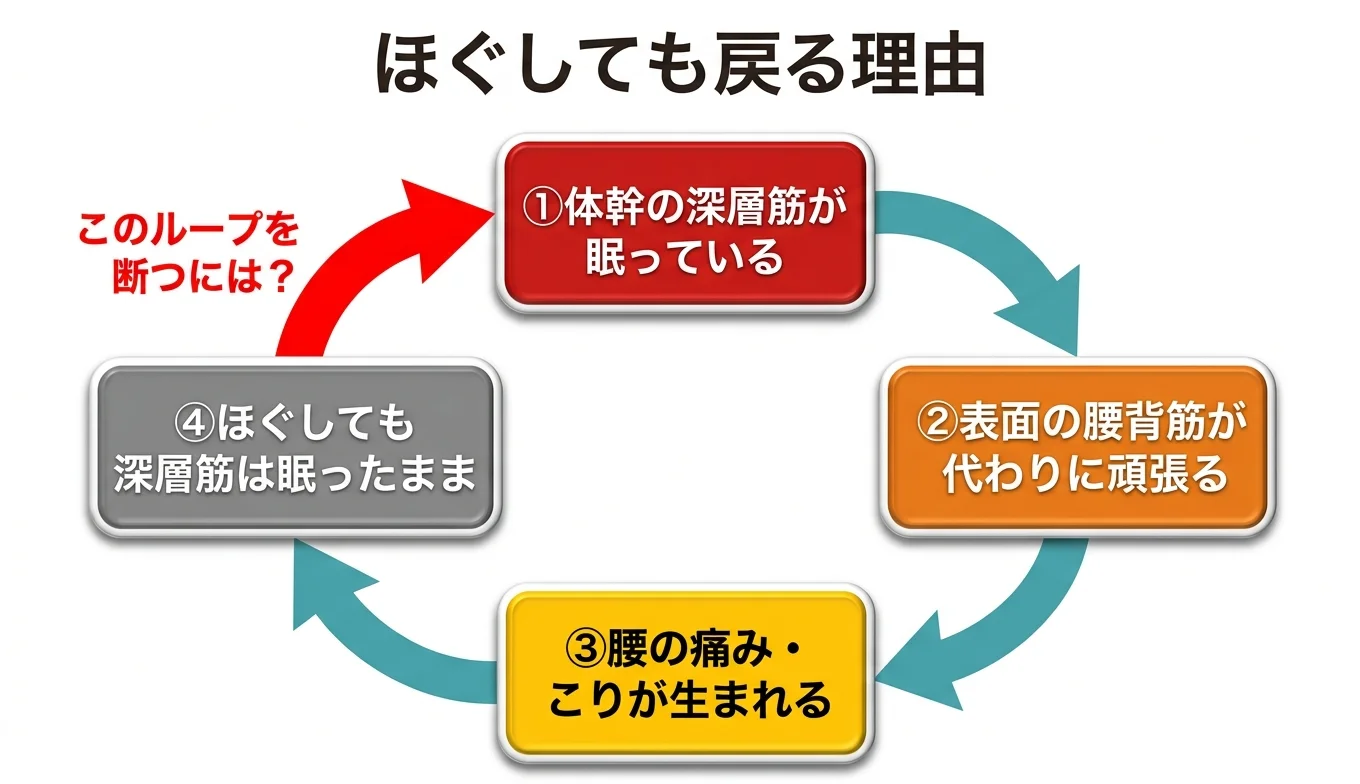図2：「ほぐしても戻る」悪循環のメカニズム