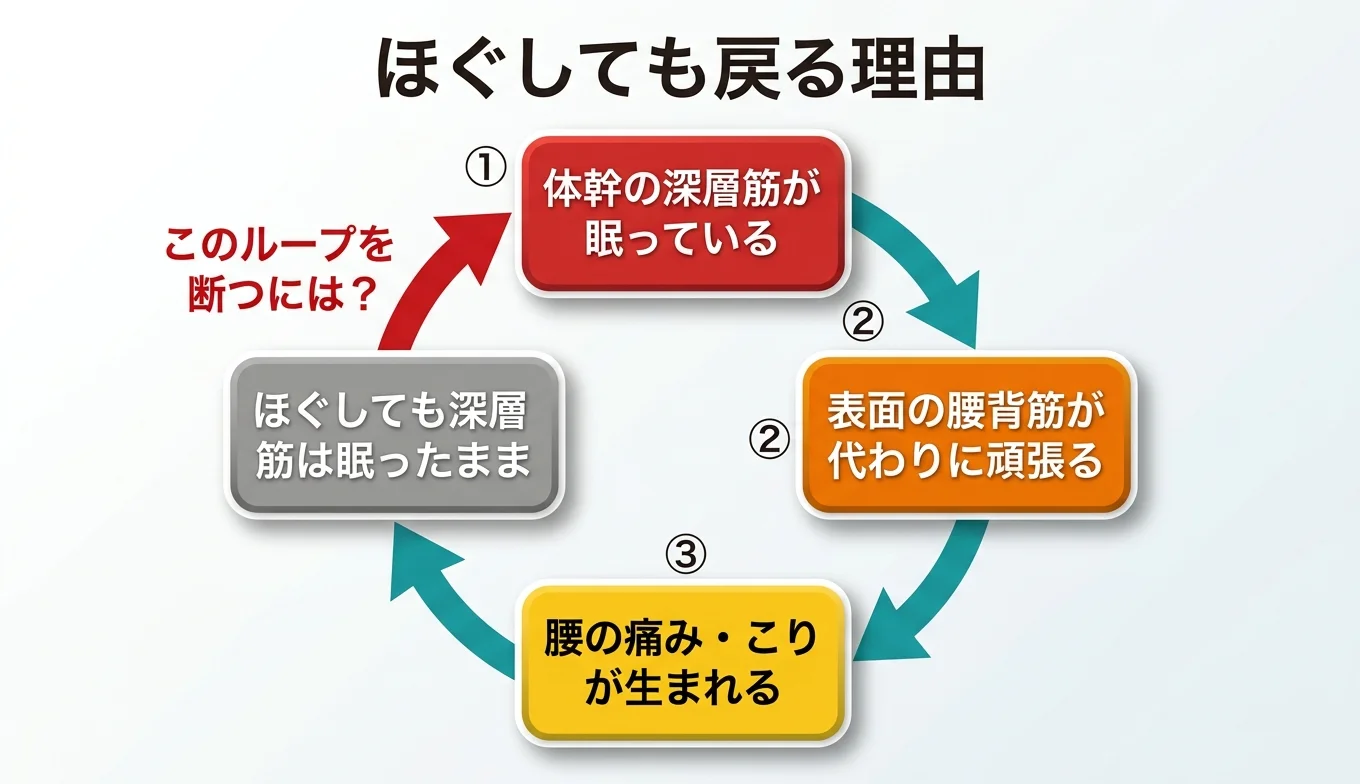 図2：「ほぐしても戻る」悪循環のメカニズム