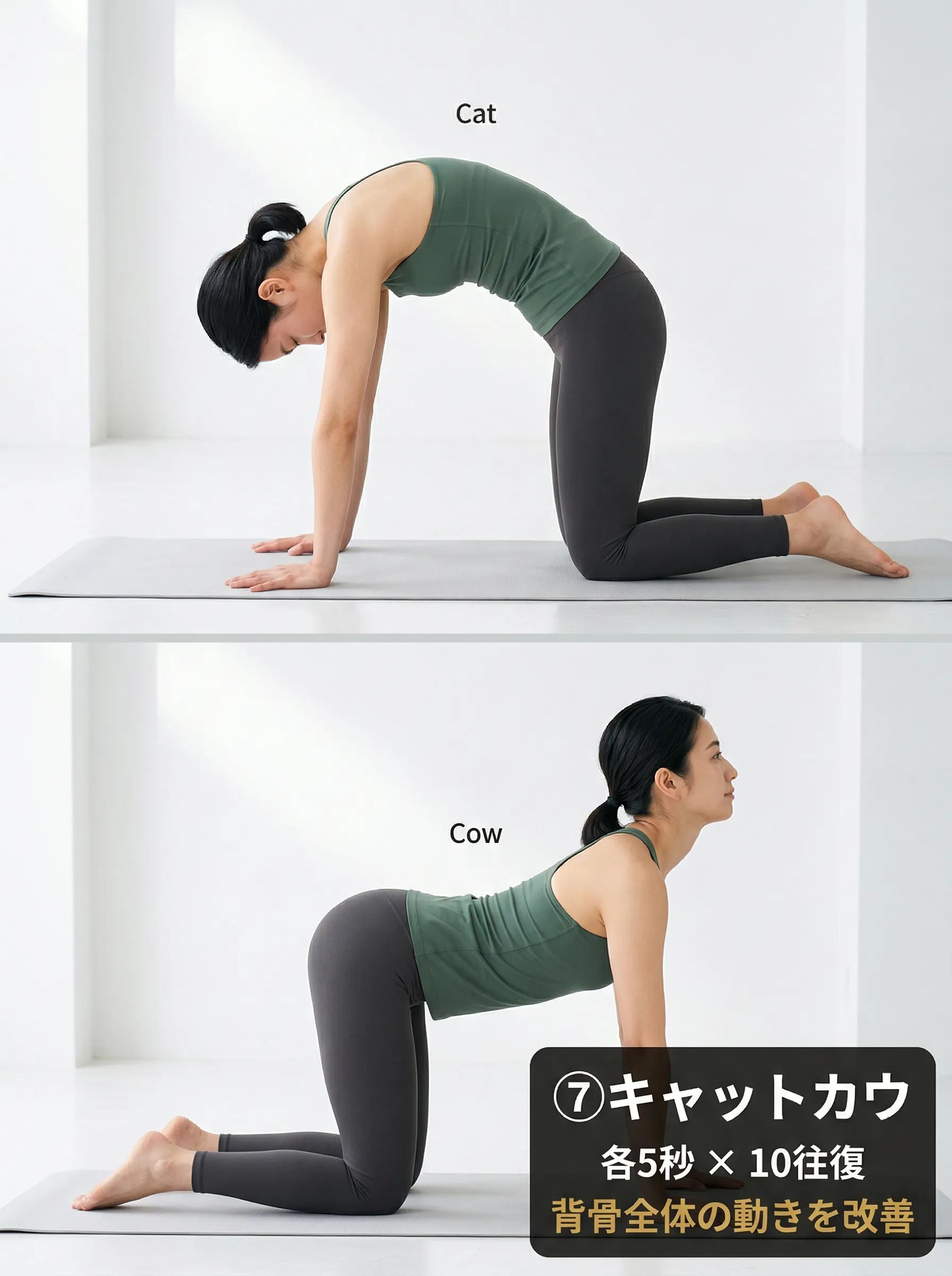 キャットカウストレッチ：四つ這いで背中を丸める・反らすを交互に各5秒10往復