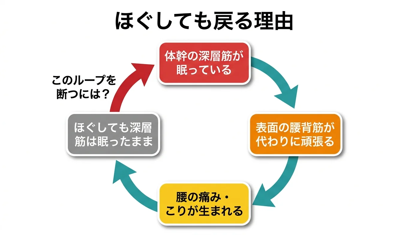 図2：「ほぐしても戻る」悪循環のメカニズム