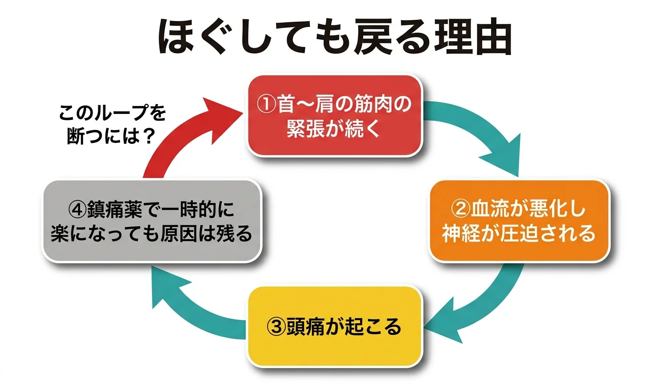 図2：「ほぐしても戻る」悪循環のメカニズム