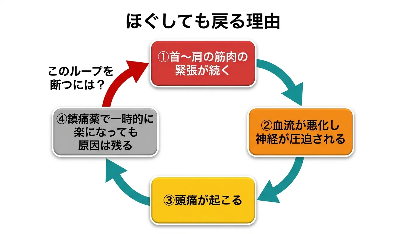 図2：「ほぐしても戻る」悪循環のメカニズム