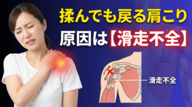 揉んでも戻る肩こりと巻き肩：インナーマッスル低下と「滑走不全」まで含めた原因と対策