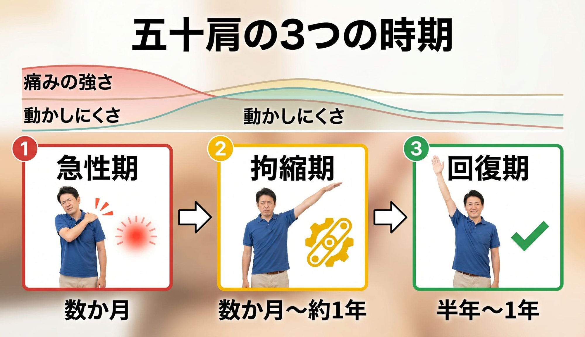 五十肩の3つの時期