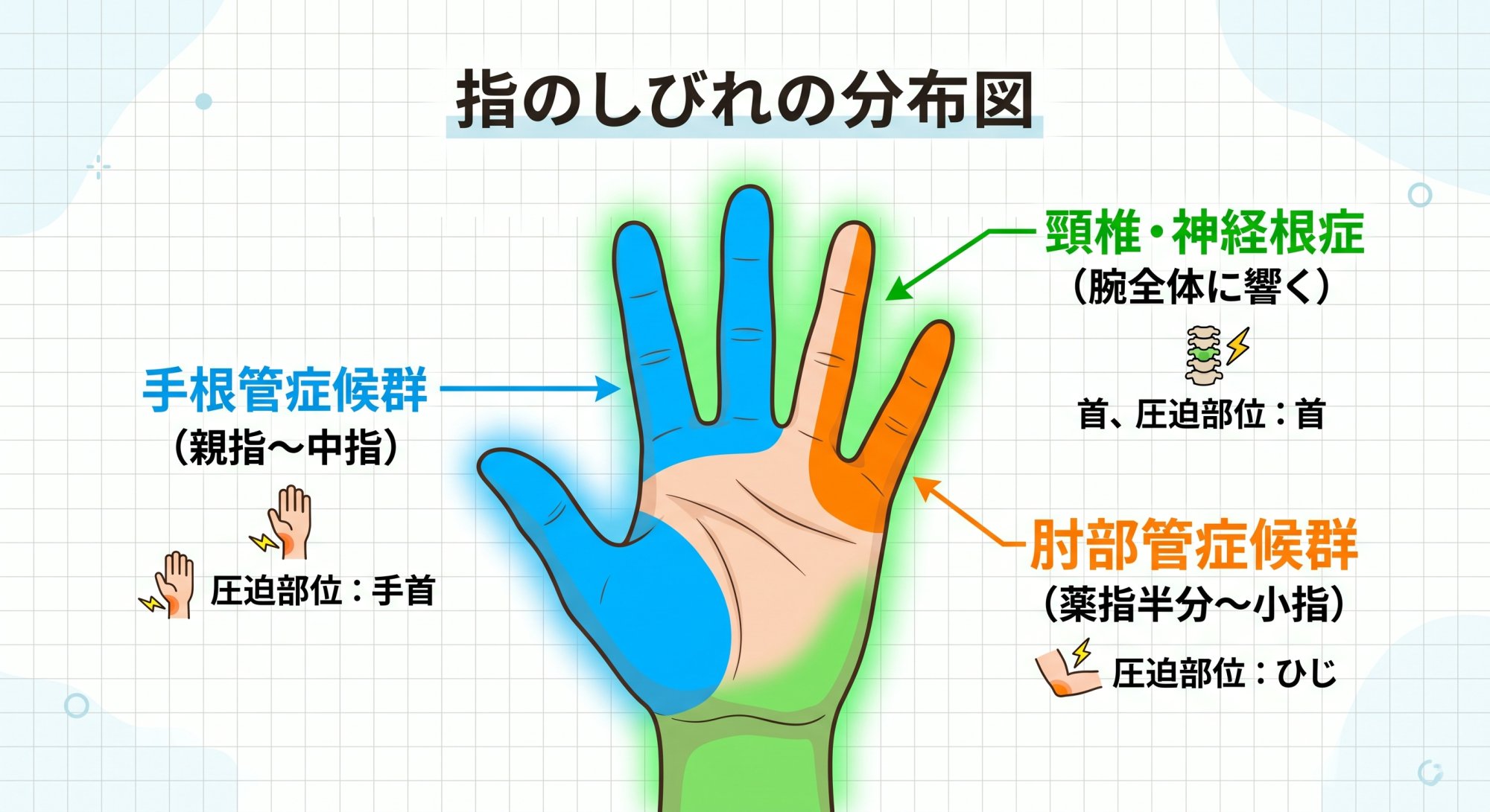 しびれる指マップ