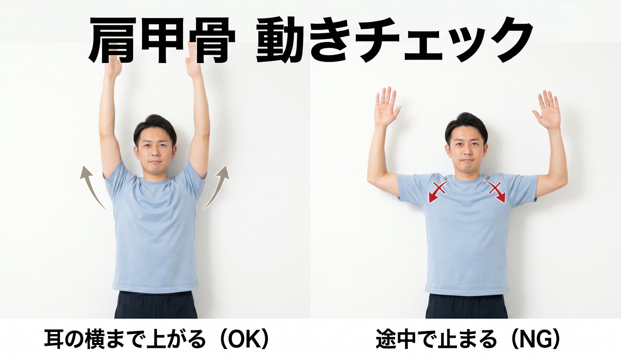 壁を使った肩甲骨の動きのセルフチェック方法