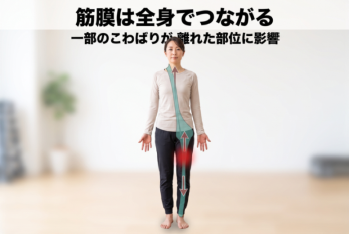 筋膜は全身でつながる