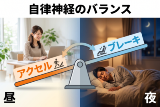 自律神経のバランス