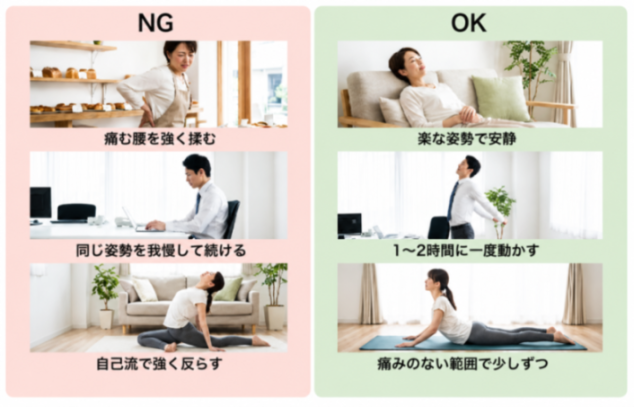 コンテンツ画像