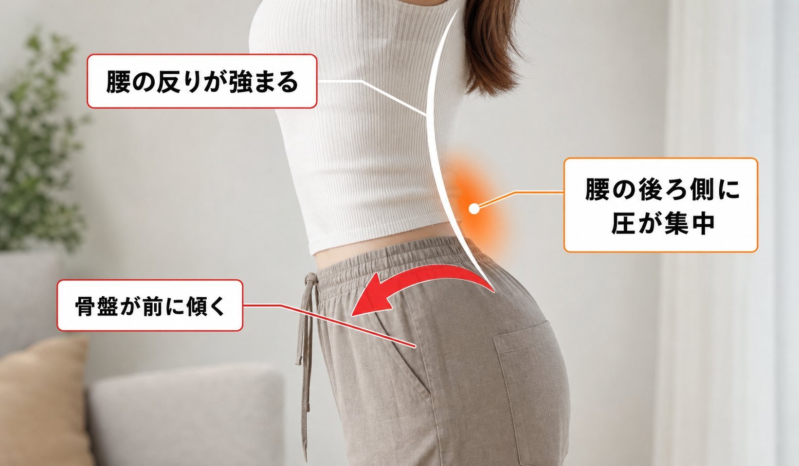 骨盤前傾の力学図