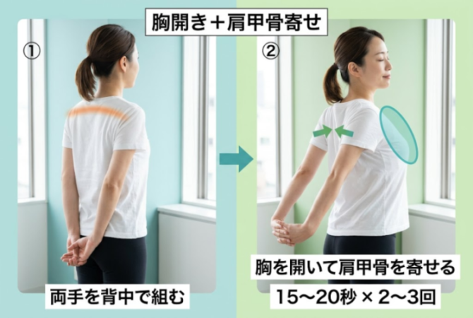 両手を背中で組み胸を開くストレッチの図解